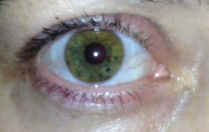 Green-Eyes-people-with-green-eyes-35048945-798-503.jpg