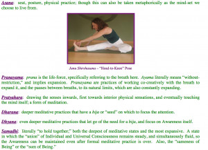 Eight Limbs Of Yoga