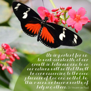 St. Vincent de Paul] | quotes | butterfly | spring