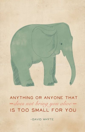 cute elephant quotes
