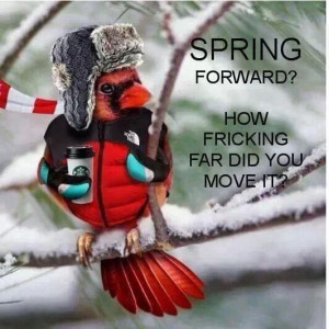 Spring forward?? Loll for real!