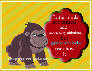 Funny Monkey Quotes And Sayings Photo