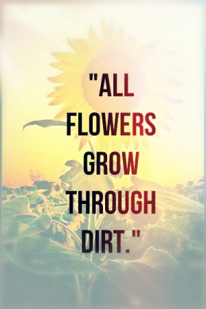 quote #flowers #sunflower #grow #dirt #writing #life #creative #art