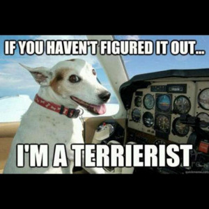 funny terrorist memes source http quoteimg com plane meme
