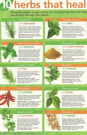 Infographic: 10 Herbs That Heal