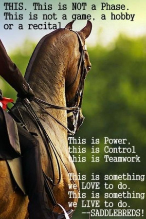 Found on theamericansaddlebred.tumblr.com