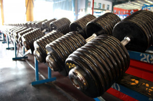 Dumbbells are fairly good equipments to tone your body in a cheaper ...