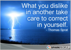 ... Quote - What you dislike in another take care to correct in yourself