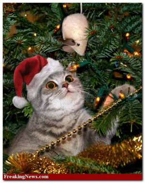 Cat Christmas Tree Safety Tips