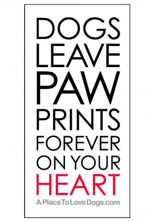 Dogs leave paw prints forever on your heart. | Quote