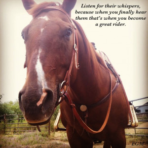Whispering with Horses. Horse Quote.