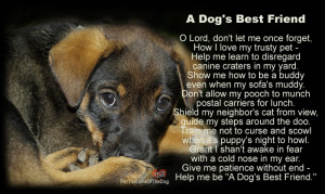 Dogs Best Friend Quotes