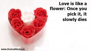 ... : Once you pick it, it slowly dies - Love Quotes - StatusMind.com