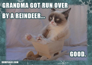 grumpy cat, christmas, grandma got run over by a reindeer, good