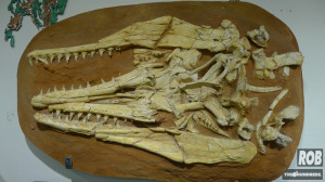 Prehistoric Crocodile