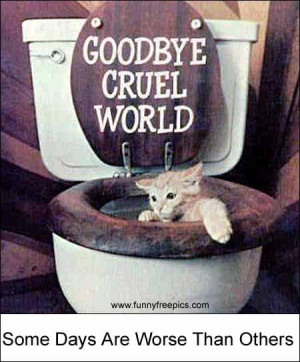 kitty-being-flushed-saying-goodbye-cruel-world-pet-humor-pic.jpg