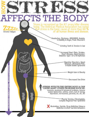 ... ://www.heartmath.com/infographics/how-stress-effects-the-body.html