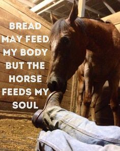 bread my feed my body but the horse feeds my soul