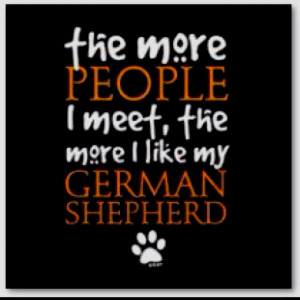 german shepherd dogs