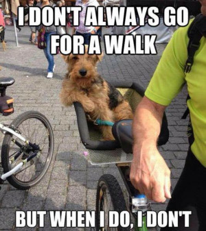 Dog Walk Like a Boss - Image