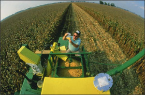 USDA agricultural engineer examines a sample of grain. Photo: USDA ARS