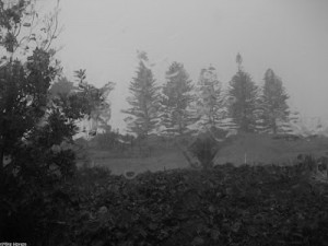 Rainy Days Facebook Day...