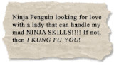 ninja penguin images ninja penguin hitupmyspot com auto post this ...