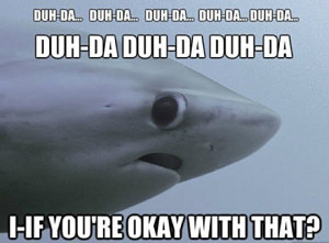 Scared shark…