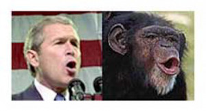 Davenport, the “Bush or Chimp” Defense, and Other Predictables ...