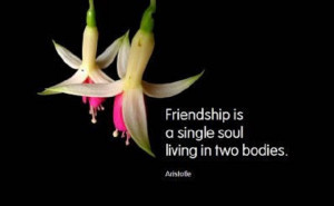 Keywords : Friendship , soul , dwelling , Author Unknown , quotes ...