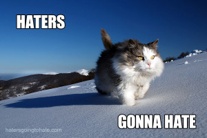 And a little video Bonus: Simon's cat in the snow!