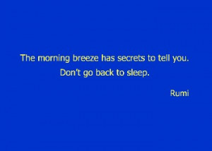 Morning Breeze - Rumi