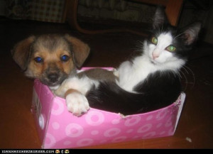 funny snuggles funny bill cosby quotes mexican funny quotes ...