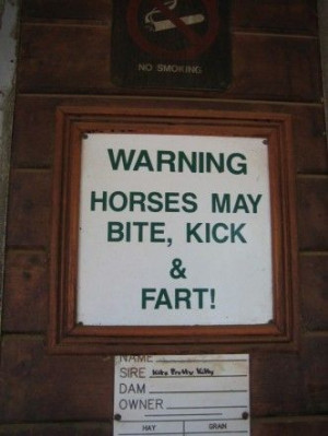 Warning - Horses May Bite, Kick & Fart!
