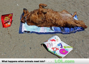 ... Maine, Ziva has to make the most of any sunny days to work on her tan