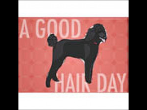 Poodle A Good Hair Day Refrigerator Magnet