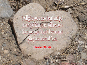 Bible Verses, for Churches Services, Websites,