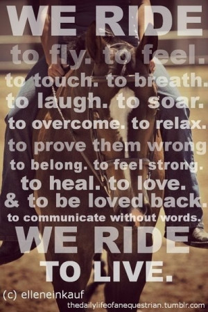 whether you ride or just sit in their stall. The smell of leather ...