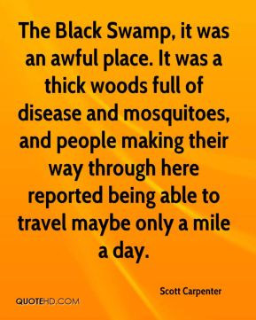 The Black Swamp, it was an awful place. It was a thick woods full of ...