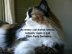 Funny & Famous Quotes about Cats (1)