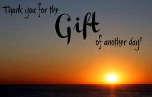 Gratitude and Happiness quotes