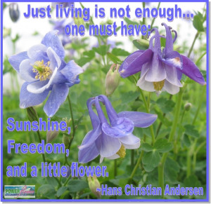 Inspirational Gardening Quotes at Power Flowers