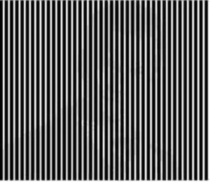 Shake your head while looking at this! WOW!