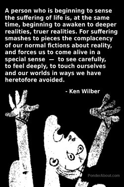 Ken Wilber quote