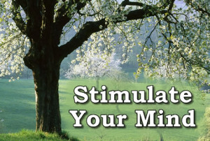 Stimulate Your Mind Quotes