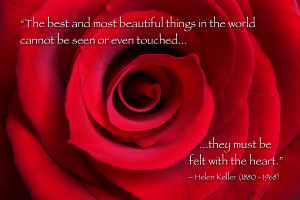 topics: macro nature flower quote red day love