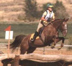 Discuss Appaloosa stallions! at the Horse Breeding forum - Horse ...