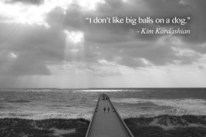 Inspirational Quotes: Dumb stupid things Kim Kardashian said> I don't ...
