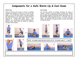 Cool Down Exercises