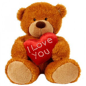 love you Teddy Bear present